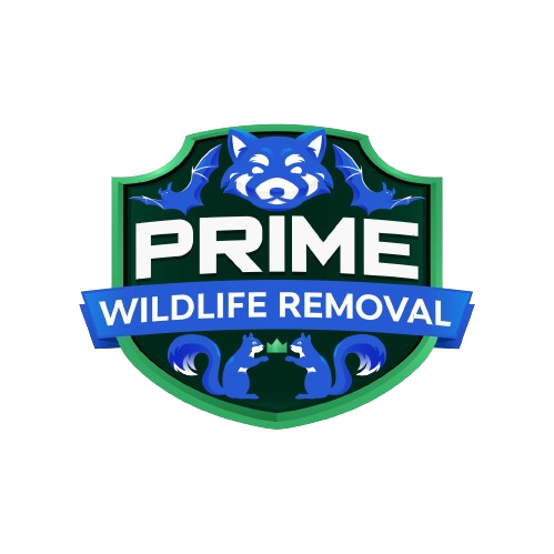 Animal Removal Fowlerville